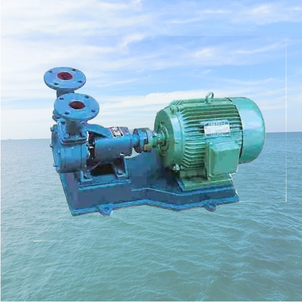 W Marine Single Stage Vortex Pump.png